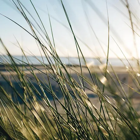 Nordstrandperle Ap H5 * Norderney